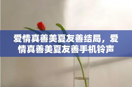 爱情真善美夏友善结局，爱情真善美夏友善手机铃声