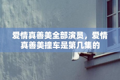 爱情真善美全部演员，爱情真善美撞车是第几集的