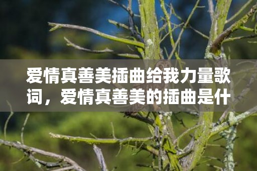 爱情真善美插曲给我力量歌词，爱情真善美的插曲是什么