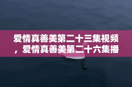 爱情真善美第二十三集视频，爱情真善美第二十六集播放
