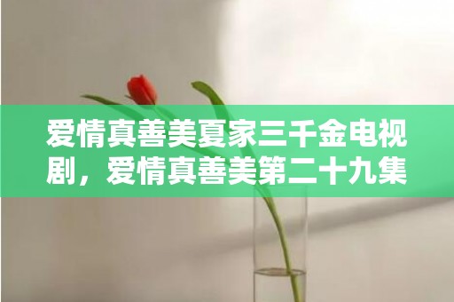 爱情真善美夏家三千金电视剧，爱情真善美第二十九集剧情