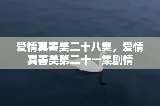 爱情真善美二十八集，爱情真善美第二十一集剧情