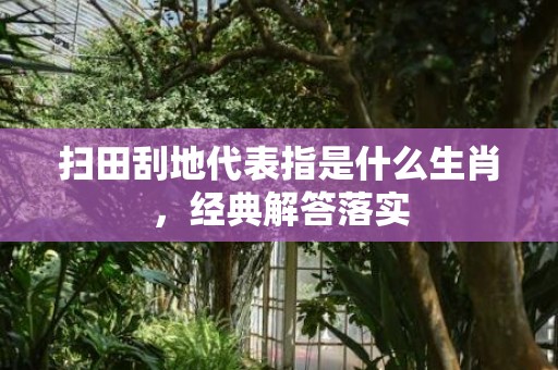 扫田刮地代表指是什么生肖，经典解答落实
