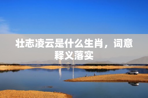 壮志凌云是什么生肖，词意释义落实