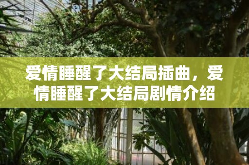 爱情睡醒了大结局插曲，爱情睡醒了大结局剧情介绍