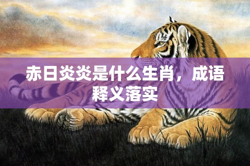 赤日炎炎是什么生肖，成语释义落实