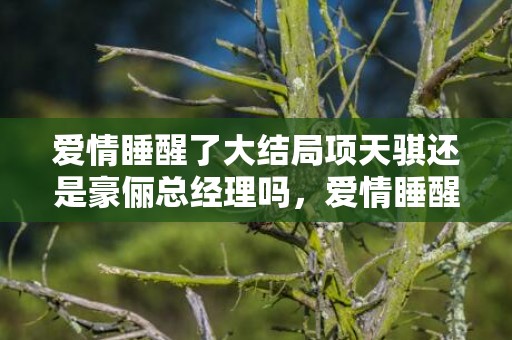 爱情睡醒了大结局项天骐还是豪俪总经理吗，爱情睡醒了大结局40集简介