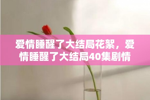 爱情睡醒了大结局花絮，爱情睡醒了大结局40集剧情