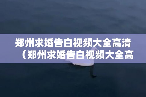 郑州求婚告白视频大全高清（郑州求婚告白视频大全高清免费）