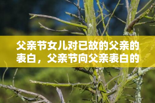 父亲节女儿对已故的父亲的表白，父亲节向父亲表白的句子
