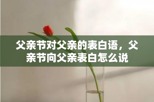 父亲节对父亲的表白语，父亲节向父亲表白怎么说