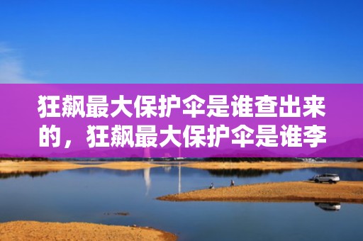 狂飙最大保护伞是谁查出来的，狂飙最大保护伞是谁李牧