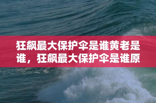 狂飙最大保护伞是谁黄老是谁，狂飙最大保护伞是谁原型