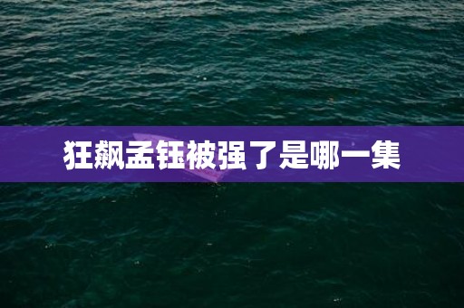 狂飙孟钰被强了是哪一集