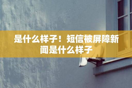 是什么样子！短信被屏障新闻是什么样子