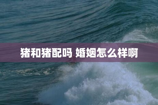 猪和猪配吗 婚姻怎么样啊