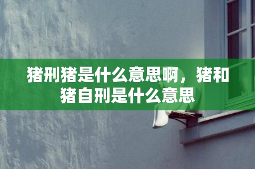 猪刑猪是什么意思啊，猪和猪自刑是什么意思