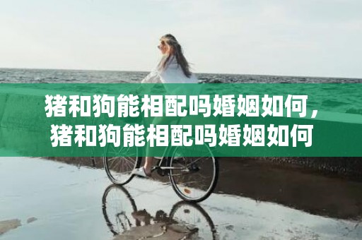 猪和狗能相配吗婚姻如何，猪和狗能相配吗婚姻如何