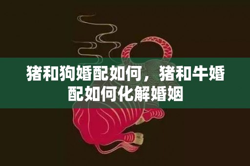 猪和狗婚配如何，猪和牛婚配如何化解婚姻