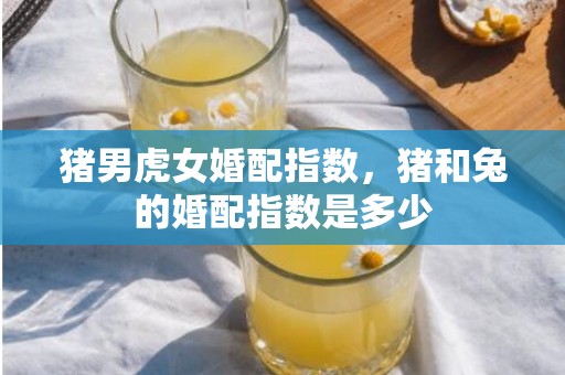 猪男虎女婚配指数，猪和兔的婚配指数是多少