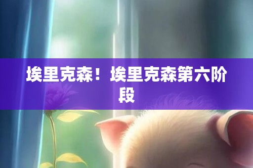埃里克森！埃里克森第六阶段