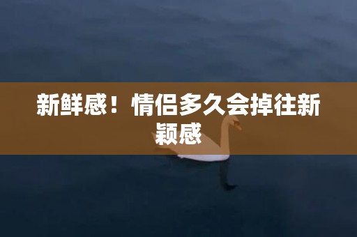 新鲜感！情侣多久会掉往新颖感