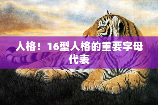 人格！16型人格的重要字母代表