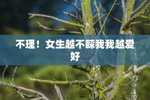 不理！女生越不睬我我越爱好