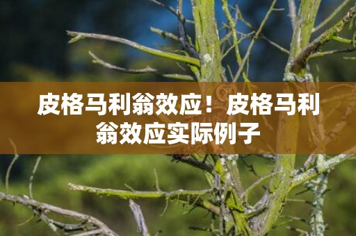 皮格马利翁效应！皮格马利翁效应实际例子