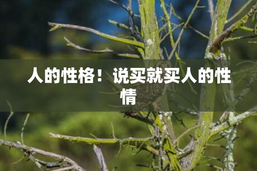 人的性格！说买就买人的性情