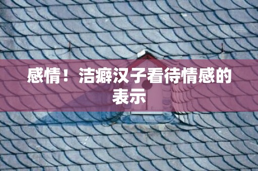 感情！洁癖汉子看待情感的表示