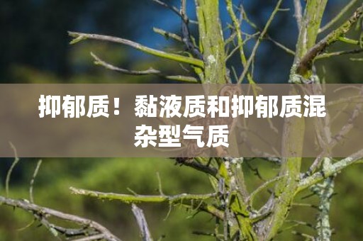 抑郁质！黏液质和抑郁质混杂型气质