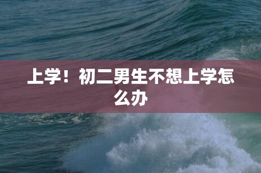 上学！初二男生不想上学怎么办