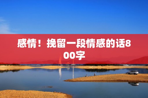 感情！挽留一段情感的话800字