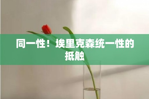 同一性！埃里克森统一性的抵触