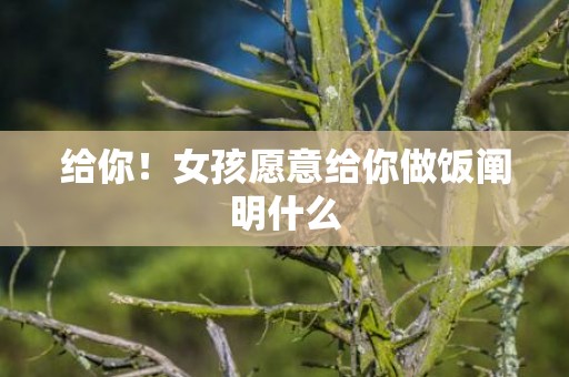 给你！女孩愿意给你做饭阐明什么