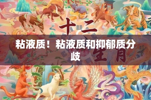 粘液质！粘液质和抑郁质分歧