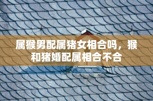 属猴男配属猪女相合吗，猴和猪婚配属相合不合
