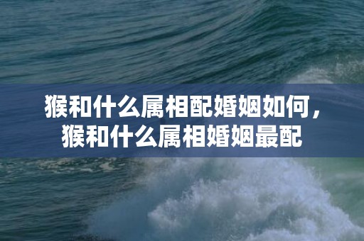 猴和什么属相配婚姻如何，猴和什么属相婚姻最配