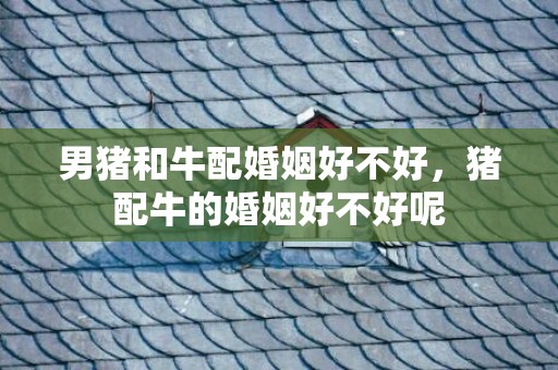 男猪和牛配婚姻好不好，猪配牛的婚姻好不好呢