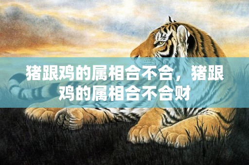 猪跟鸡的属相合不合，猪跟鸡的属相合不合财