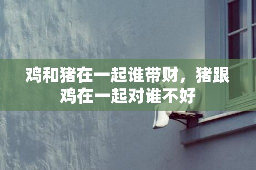 鸡和猪在一起谁带财，猪跟鸡在一起对谁不好