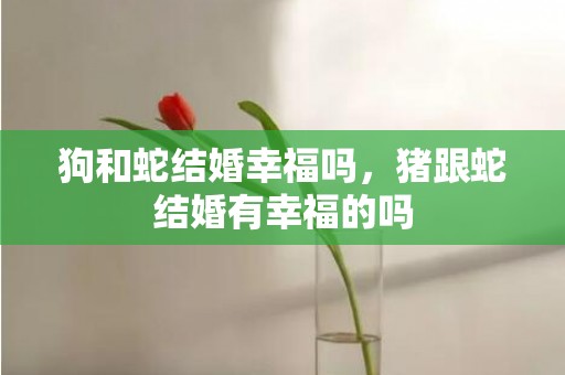 狗和蛇结婚幸福吗，猪跟蛇结婚有幸福的吗