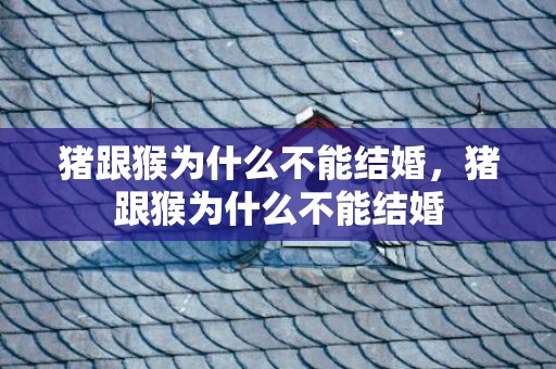 猪跟猴为什么不能结婚，猪跟猴为什么不能结婚