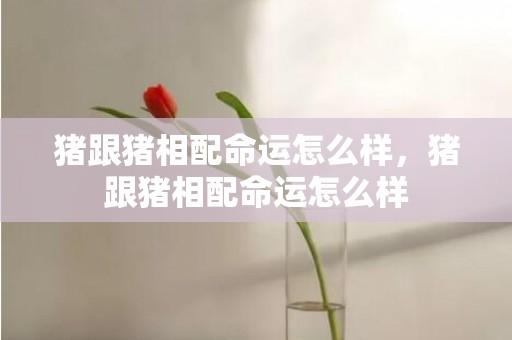 猪跟猪相配命运怎么样，猪跟猪相配命运怎么样