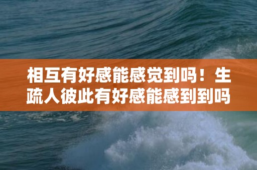 相互有好感能感觉到吗！生疏人彼此有好感能感到到吗