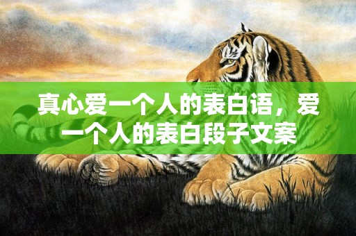 真心爱一个人的表白语，爱一个人的表白段子文案
