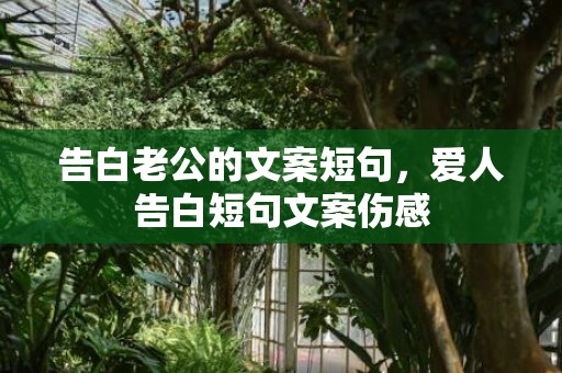 告白老公的文案短句，爱人告白短句文案伤感