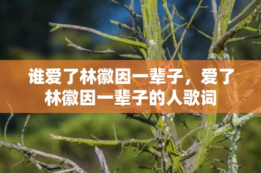 谁爱了林徽因一辈子，爱了林徽因一辈子的人歌词
