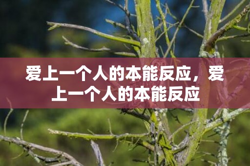 爱上一个人的本能反应，爱上一个人的本能反应
